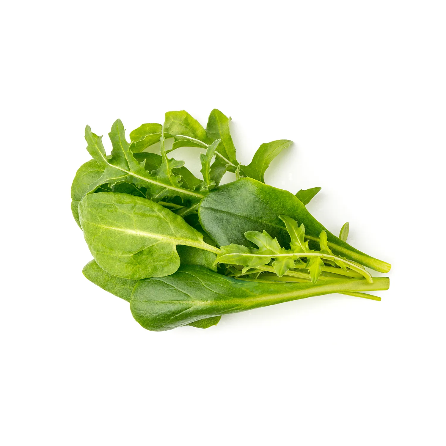 Click and Grow Plant Pods, 9 Pack