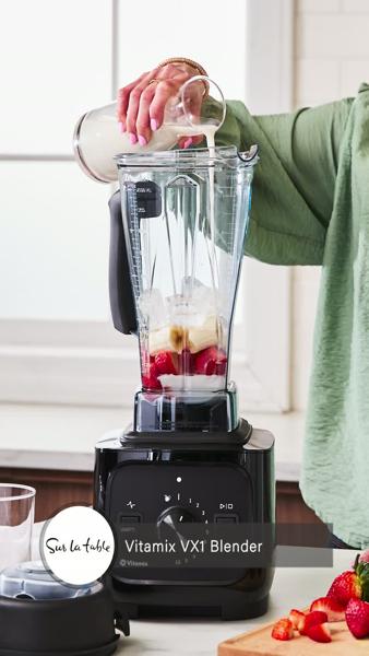 Vitamix VX1 Blender