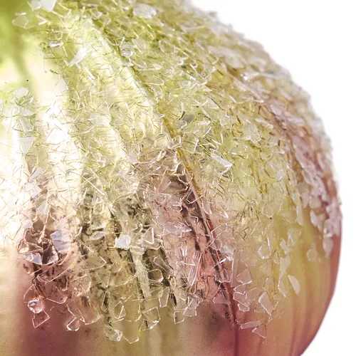 Sur la table Fig Ornament