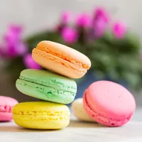 Wildflower Macarons