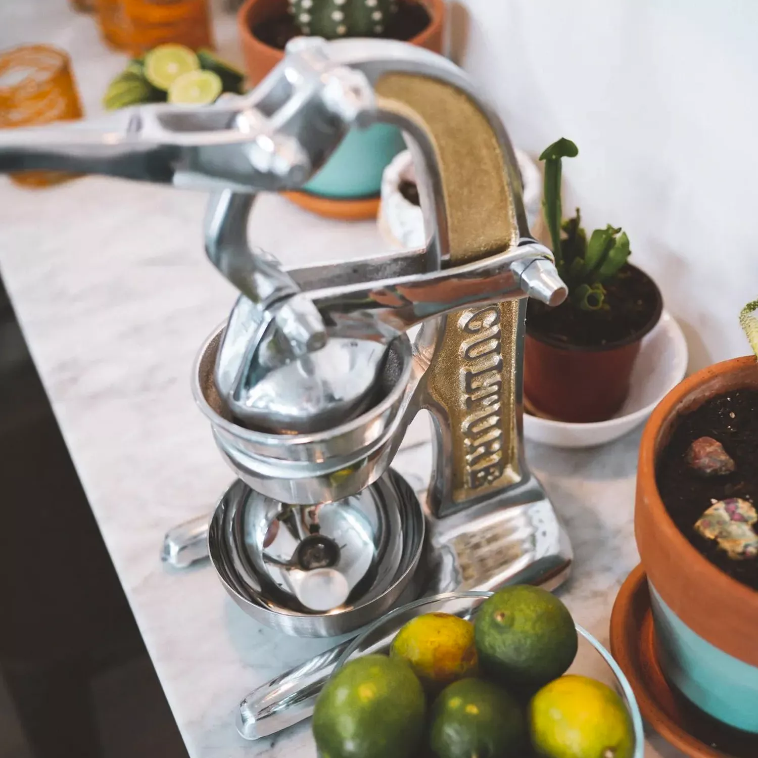 Verve Culture Artisan Citrus Juicer