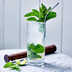 Online Focus Series Mixology: Mojitos (Eastern Time)