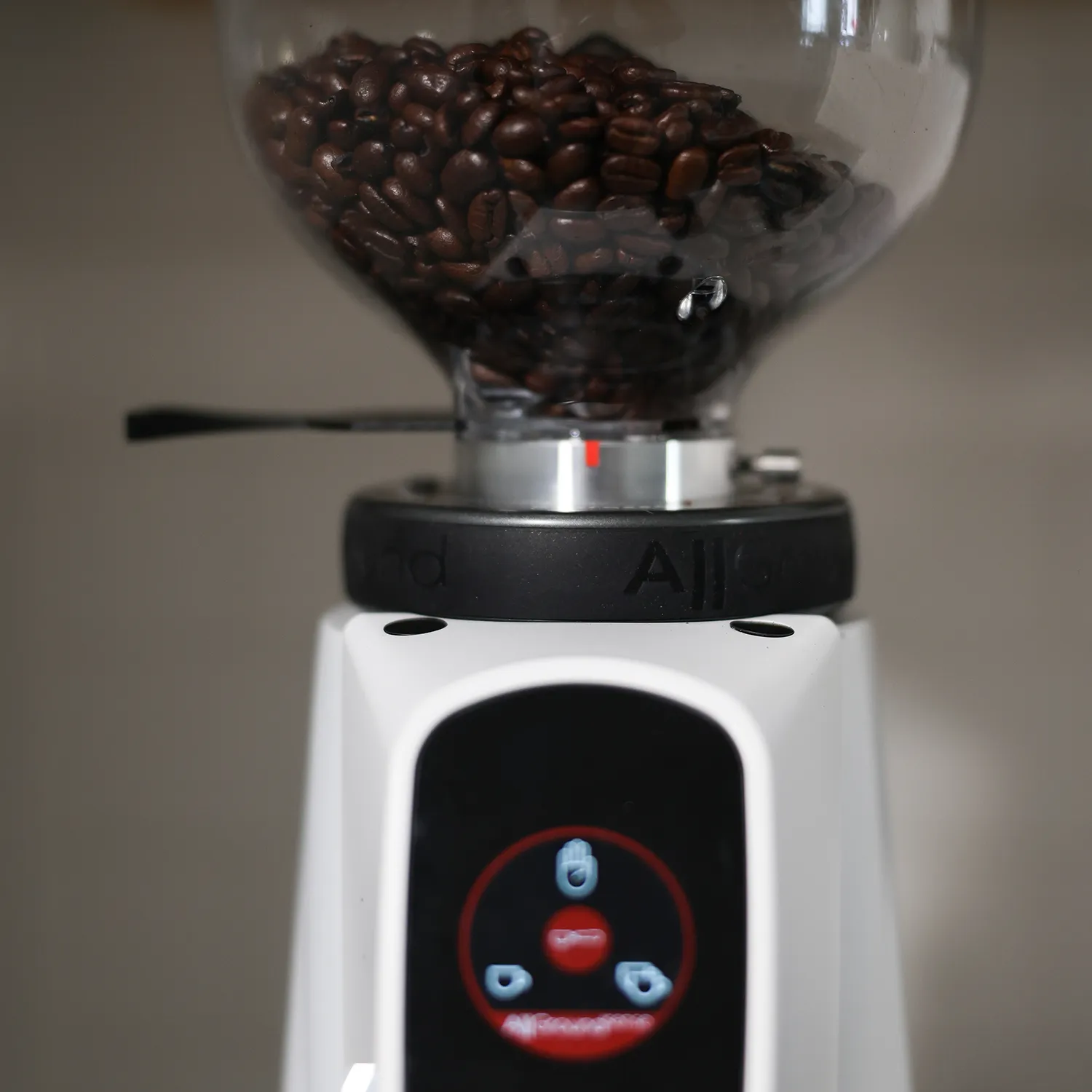 Fiorenzato Allground Sense All-Purpose Home Espresso Grinder