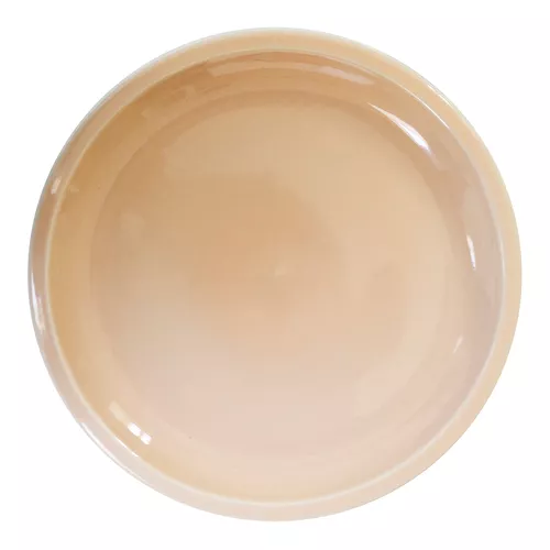 Jars Cantine Plate, Extra Large