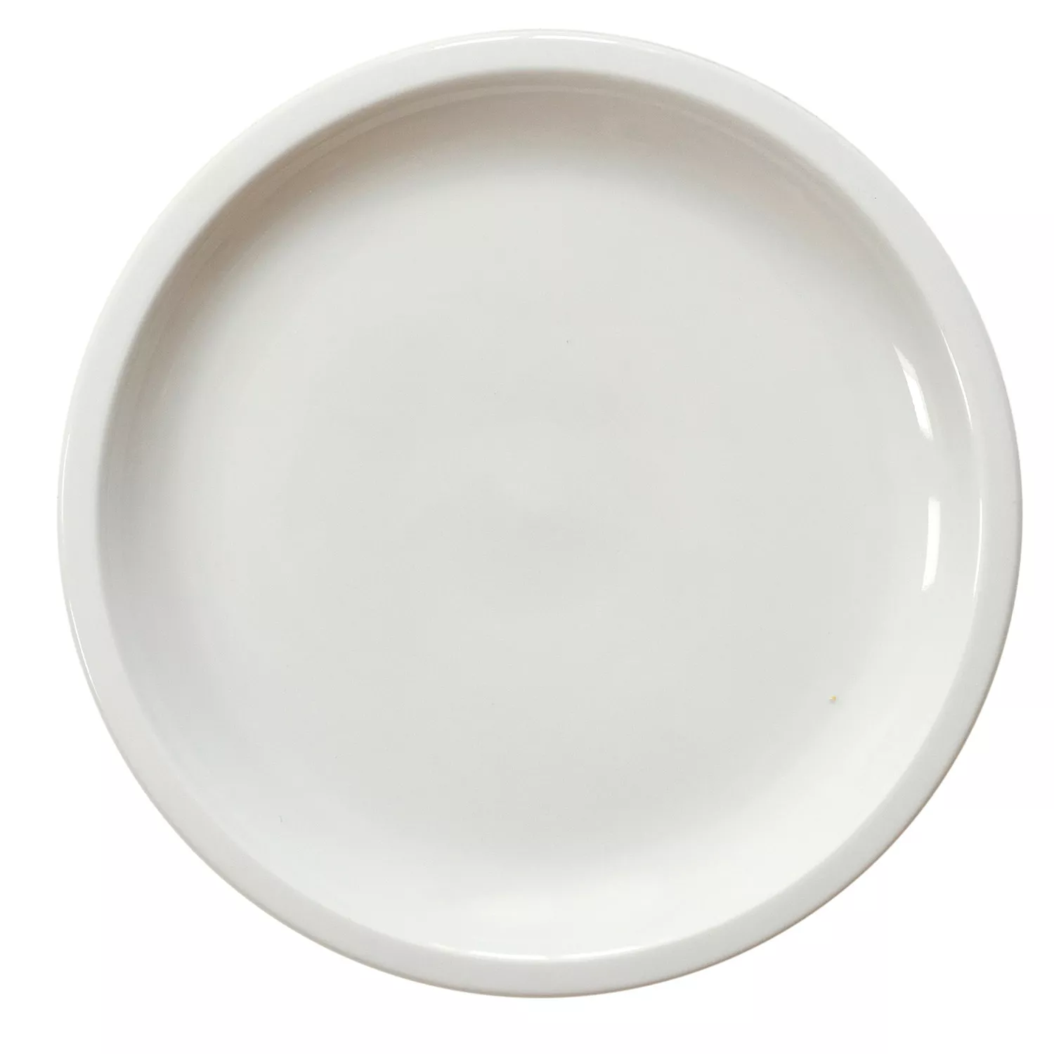 Jars Cantine Plate, Large
