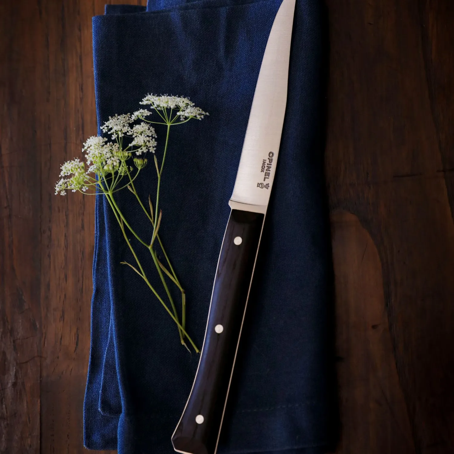 Opinel Facette 4-Piece Steak Knife Set