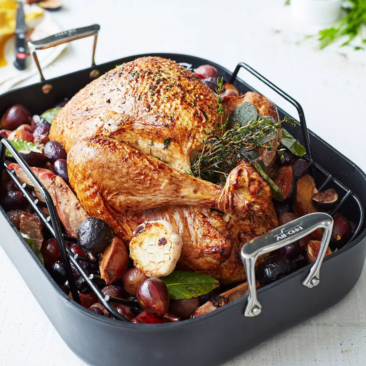 All-Clad HA1 Nonstick Roasting Pan with Rack, 16&#34; x 13&#34;