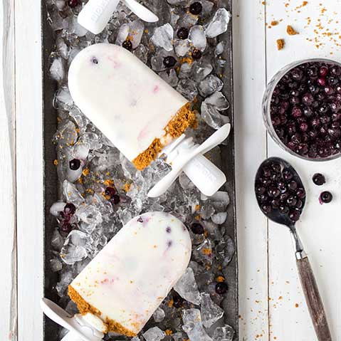Verknald Groenten Mineraalwater Lemon Blueberry Yogurt Pops Recipe | Sur La Table