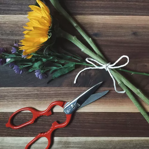 Zwilling J.A. Henckels Red Multi-Purpose Stainless Steel Kitchen Shears