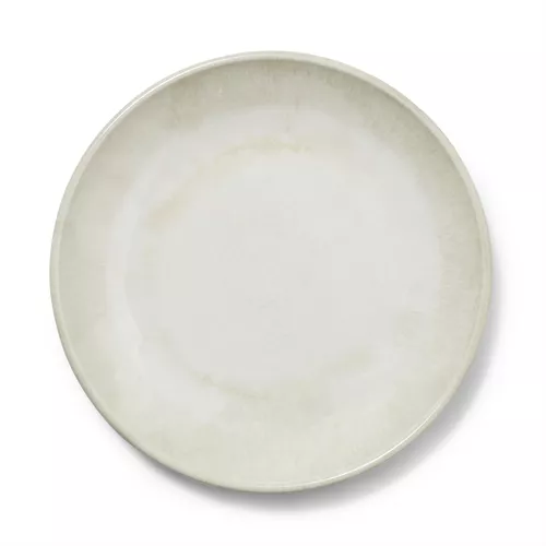 Sur La Table Reactive Glaze Melamine Dinner Plate