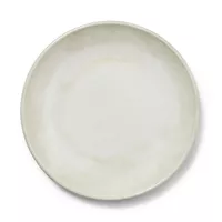 Sur La Table Reactive Glaze Melamine Dinner Plate
