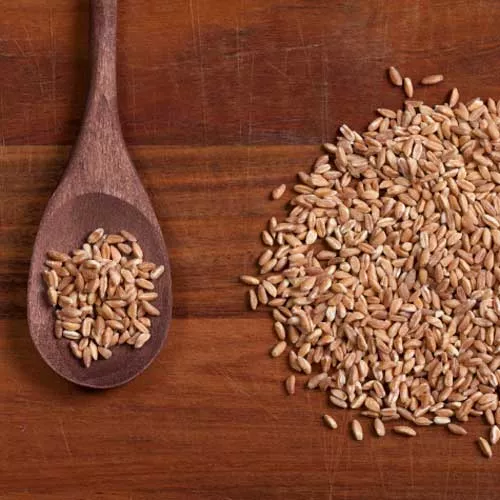 Farro, Kale and Sweet Potato Salad with Pomegranate Seeds