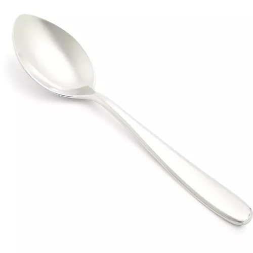 Fortessa Grand City Serving Spoon