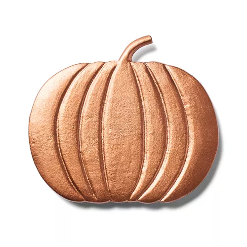 Sur La Table Metal Pumpkin Trivet