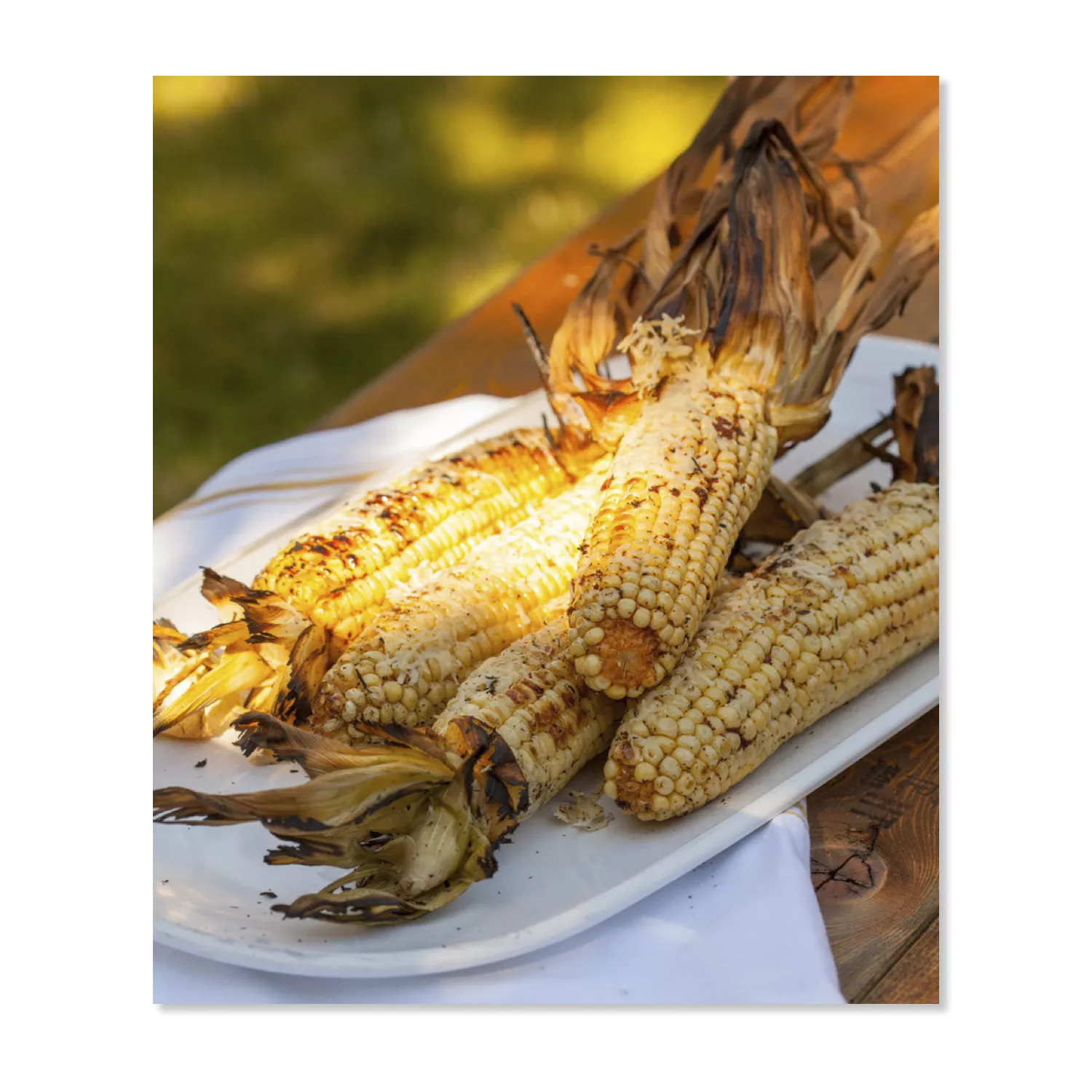 The Plank Grilling Cookbook: Infuse Food with More Flavor Using Wood Planks