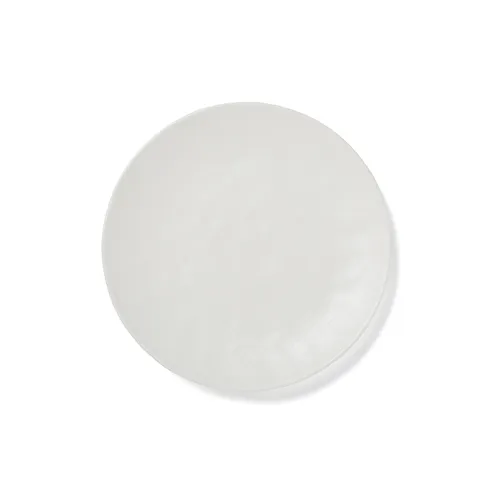 Sur La Table Elemental Dinner Plate 