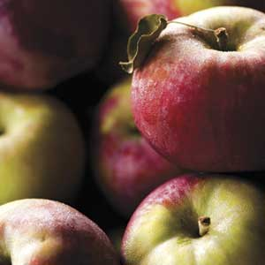 Seasonal Cooking: Fall Apples