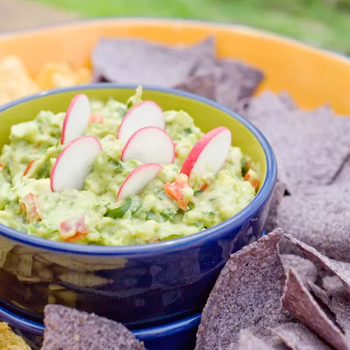 PolyScience Smoked Guacamole