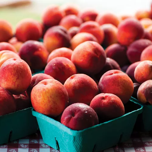 Just Peachy Smoothie