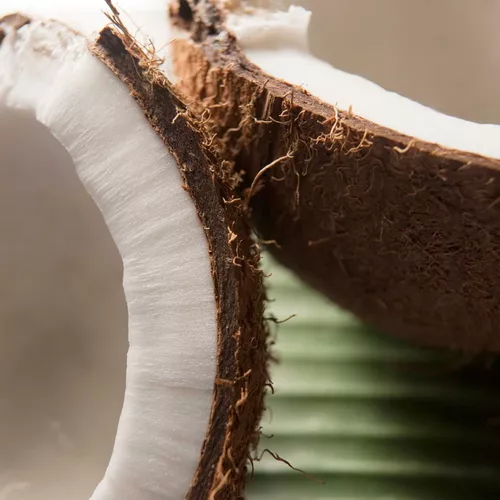 Lemongrass Fragrant Coconut Soup