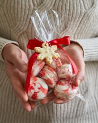 Holiday Macaron Workshop Great Class