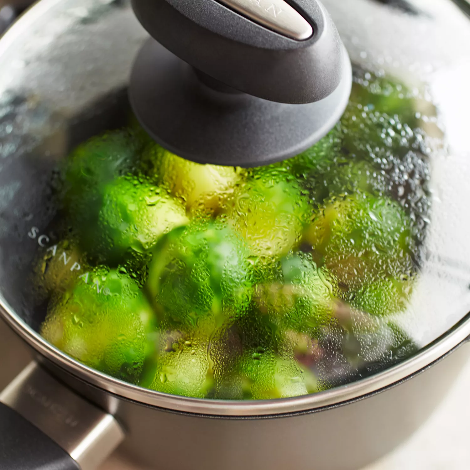 Scanpan ES5 10-Piece Set