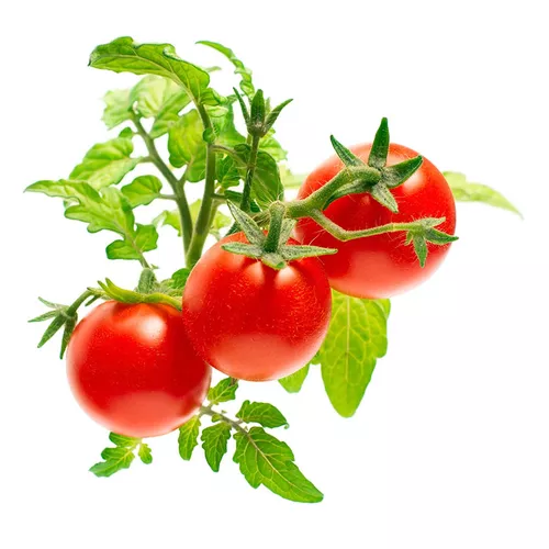 Click And Grow Plant Pods, 3 Pack