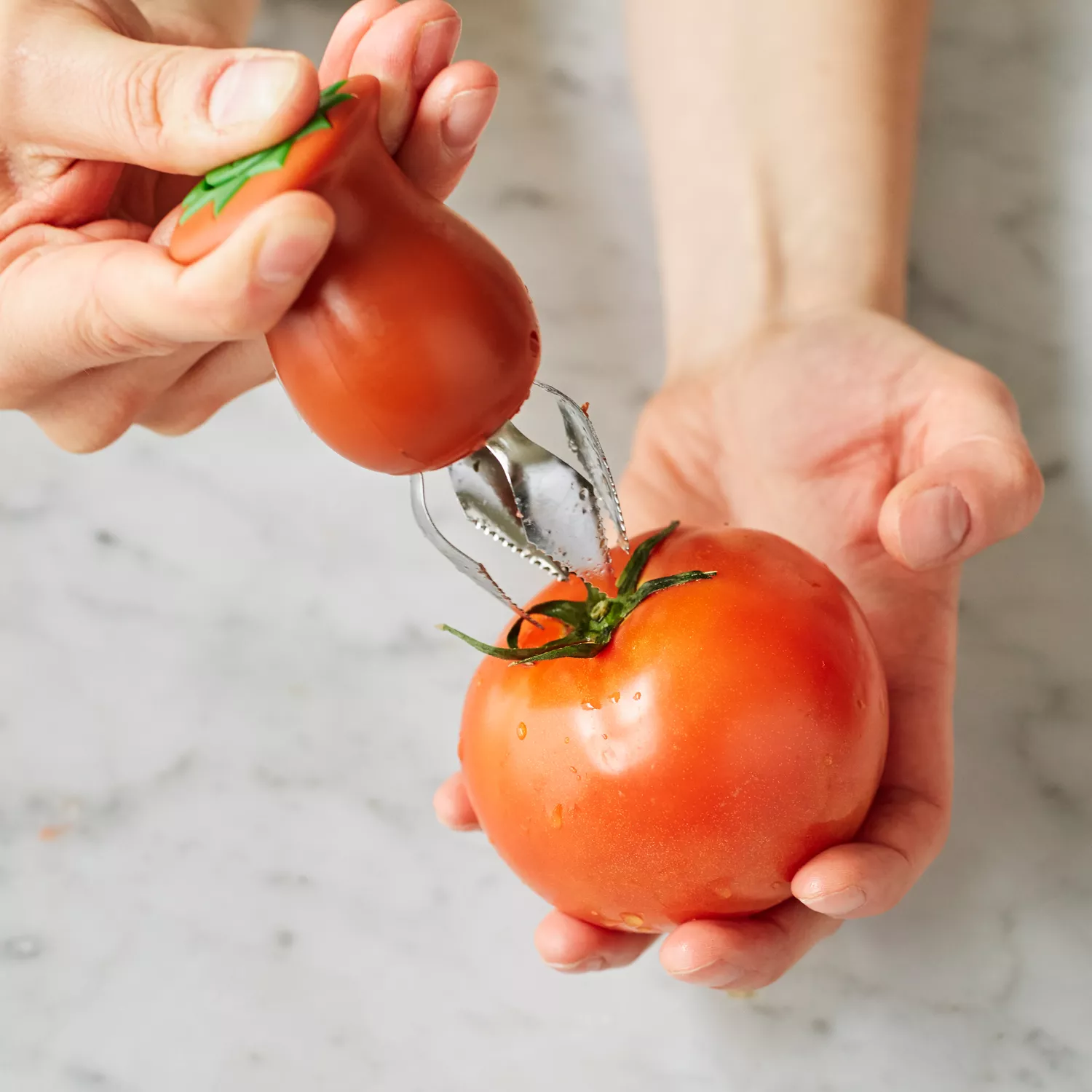 Hullster Tomato Corer – Little Red Hen