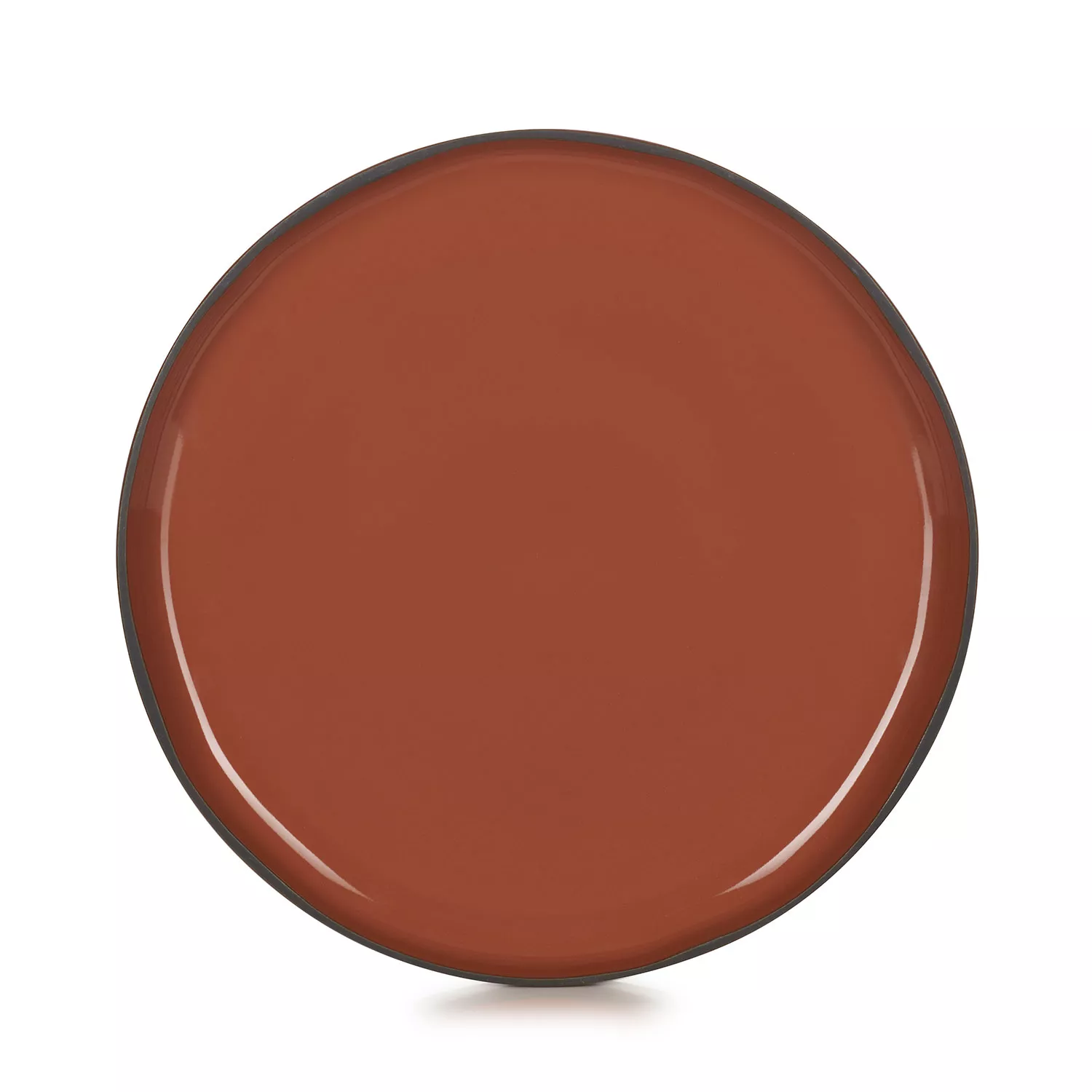 Revol Caractère Dinner Plates, 10.25", Set of 4