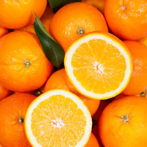 Holiday Fruit Salad Smoothie