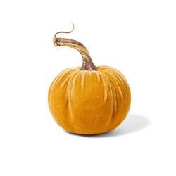 Sur La Table Velvet Pumpkin Décor