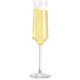 Dishwasher Safe Champagne Glasses