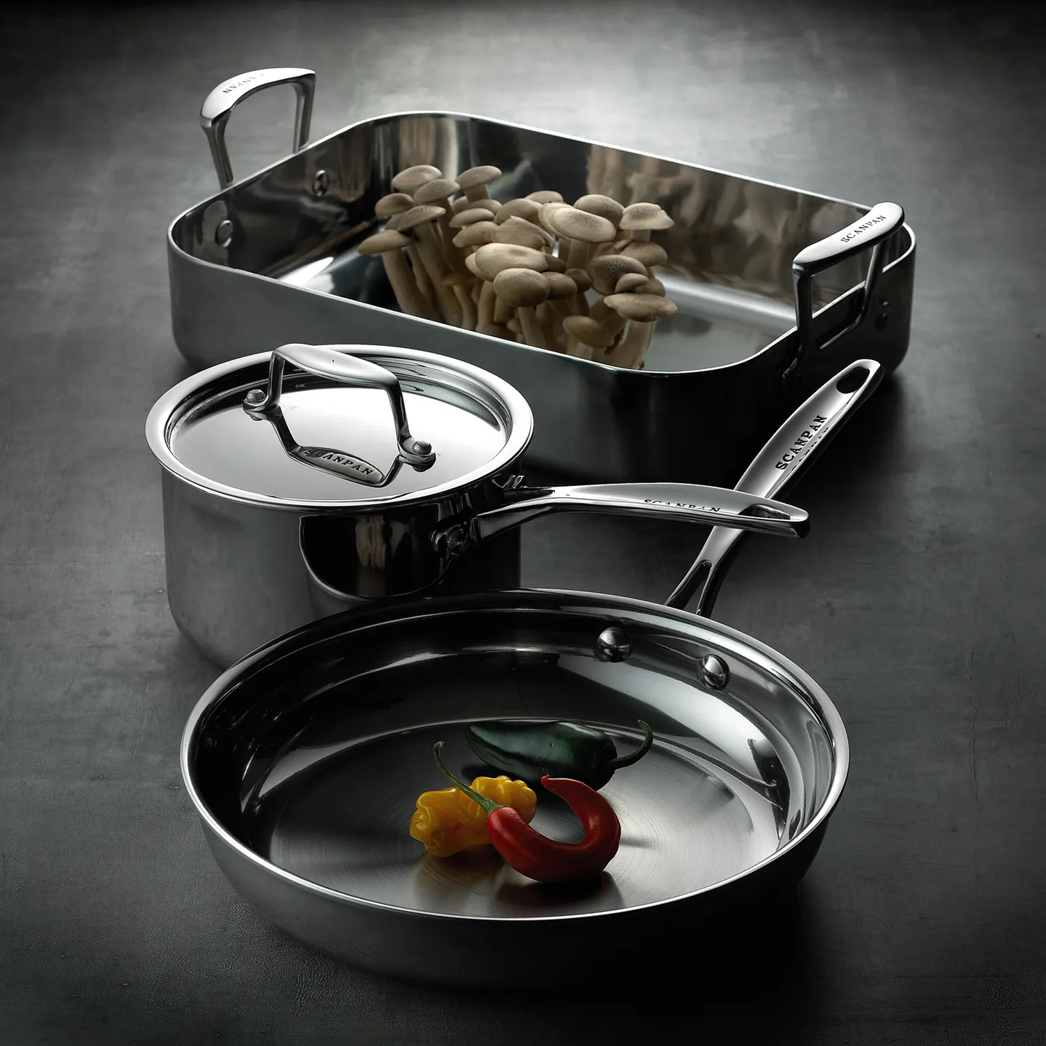 Scanpan Fusion 5 Stainless Steel Roaster 17.25 x 9.5