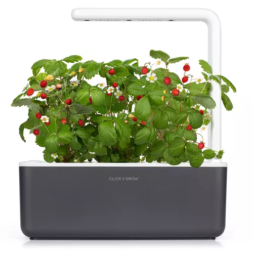 Click And Grow Smart Garden 3