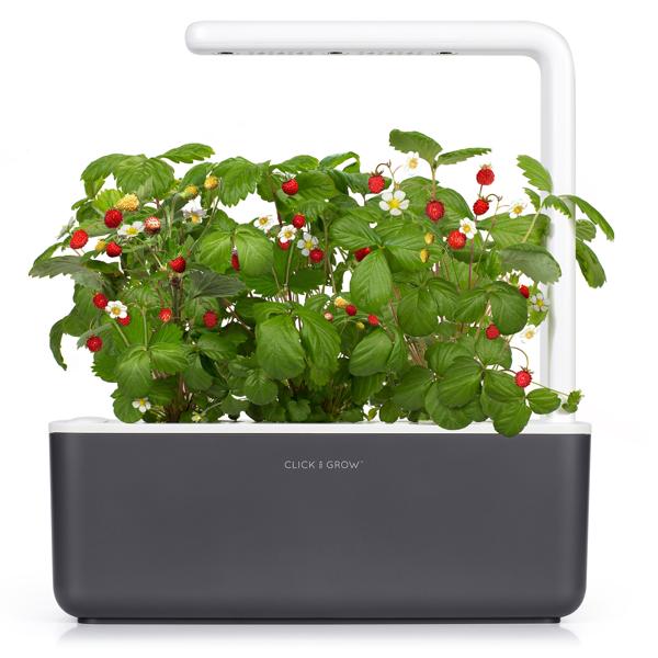 Click And Grow Smart Garden 3