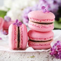 Scrumptious Spring Macarons