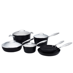 Scanpan Professional Nonstick 10-Piece Set We purchased a single pan over a year ago