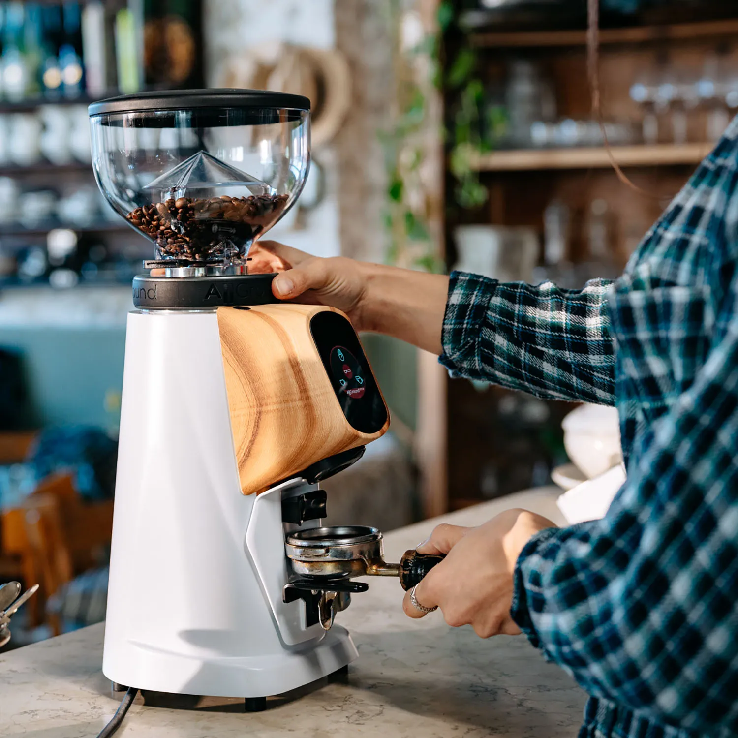 Fiorenzato Allground Sense All-Purpose Home Espresso Grinder