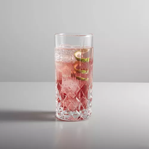 Sur La Table Jax Highball Glasses