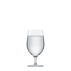 Schott Zwiesel Banquet All Purpose Glasses Thought I ordered a larger size