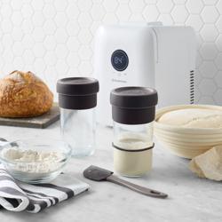 Bread Science: Sourdough Starter