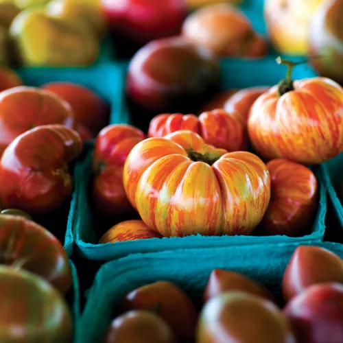 Spanish Tomato Toast  (Pan con Tomate)