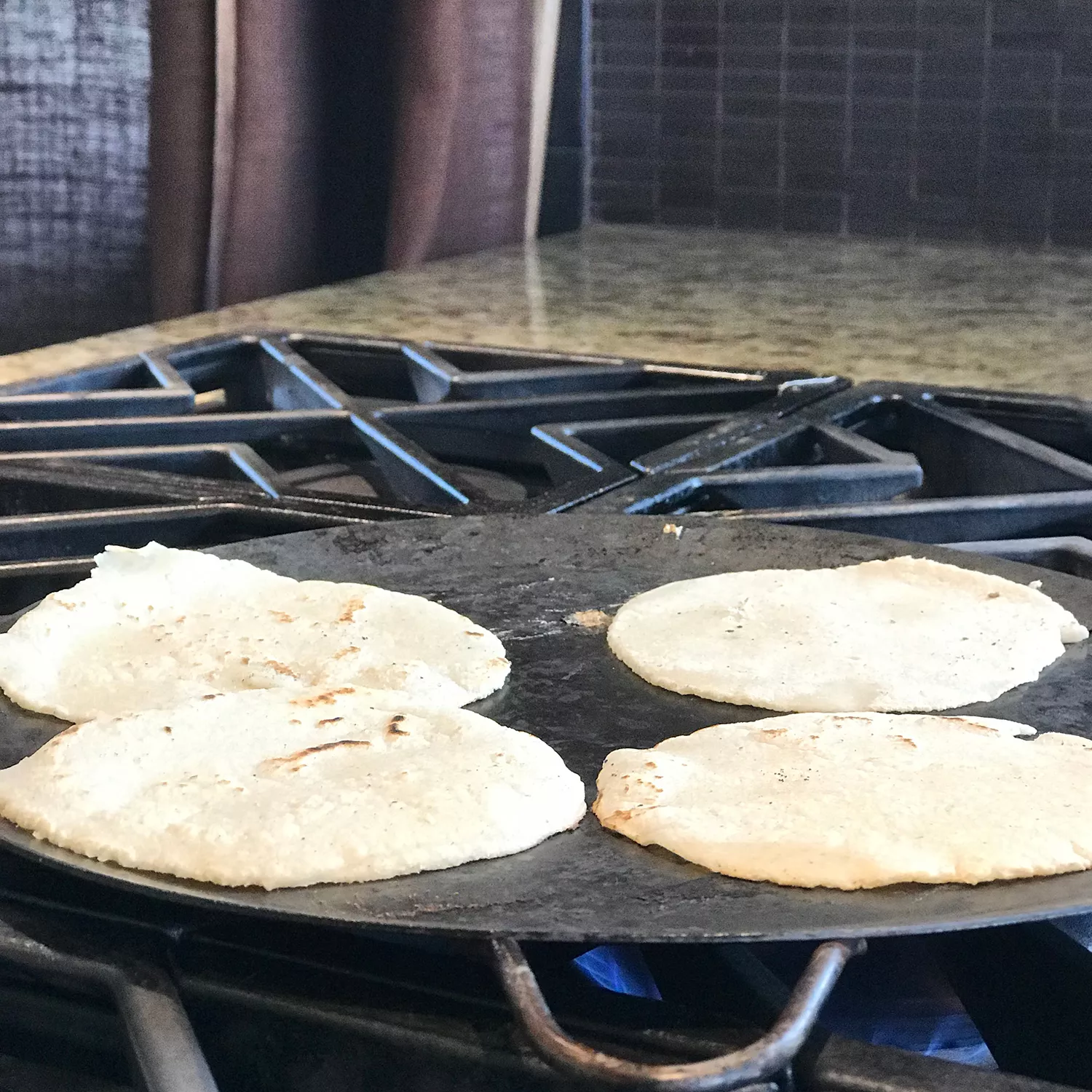 Verve Culture Tortilleria Kit