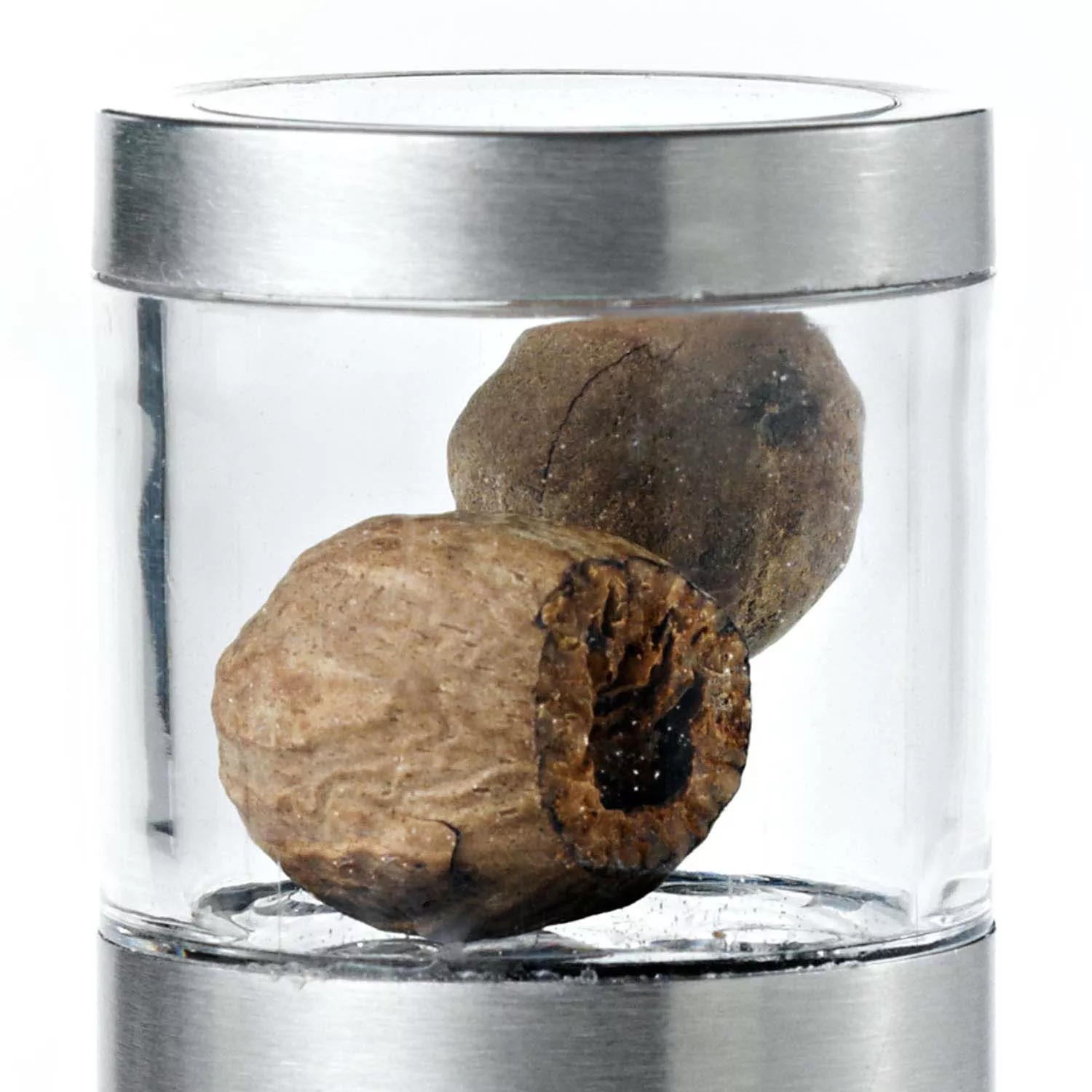 AdHoc Muskatino Nutmeg Mill & Grinder