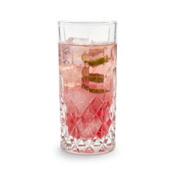 Sur La Table Jax Highball Glasses