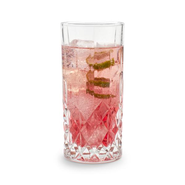 Sur La Table Jax Highball Glasses
