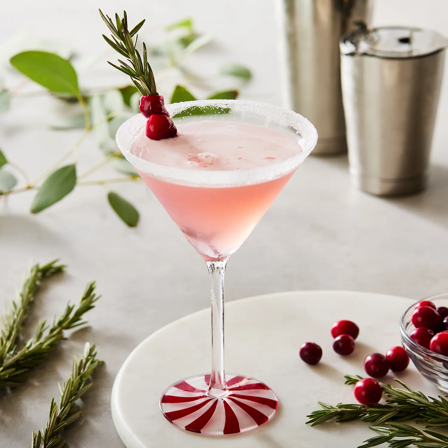 Sur La Table Peppermint Martini Glass