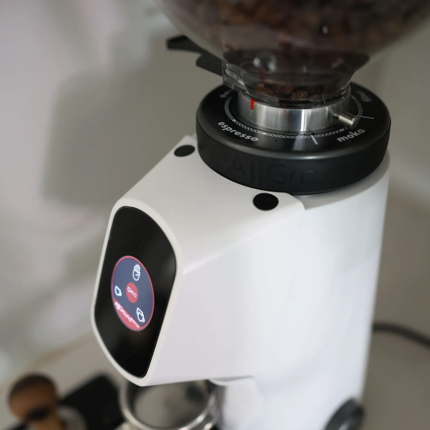 Fiorenzato Allground Sense All-Purpose Home Espresso Grinder