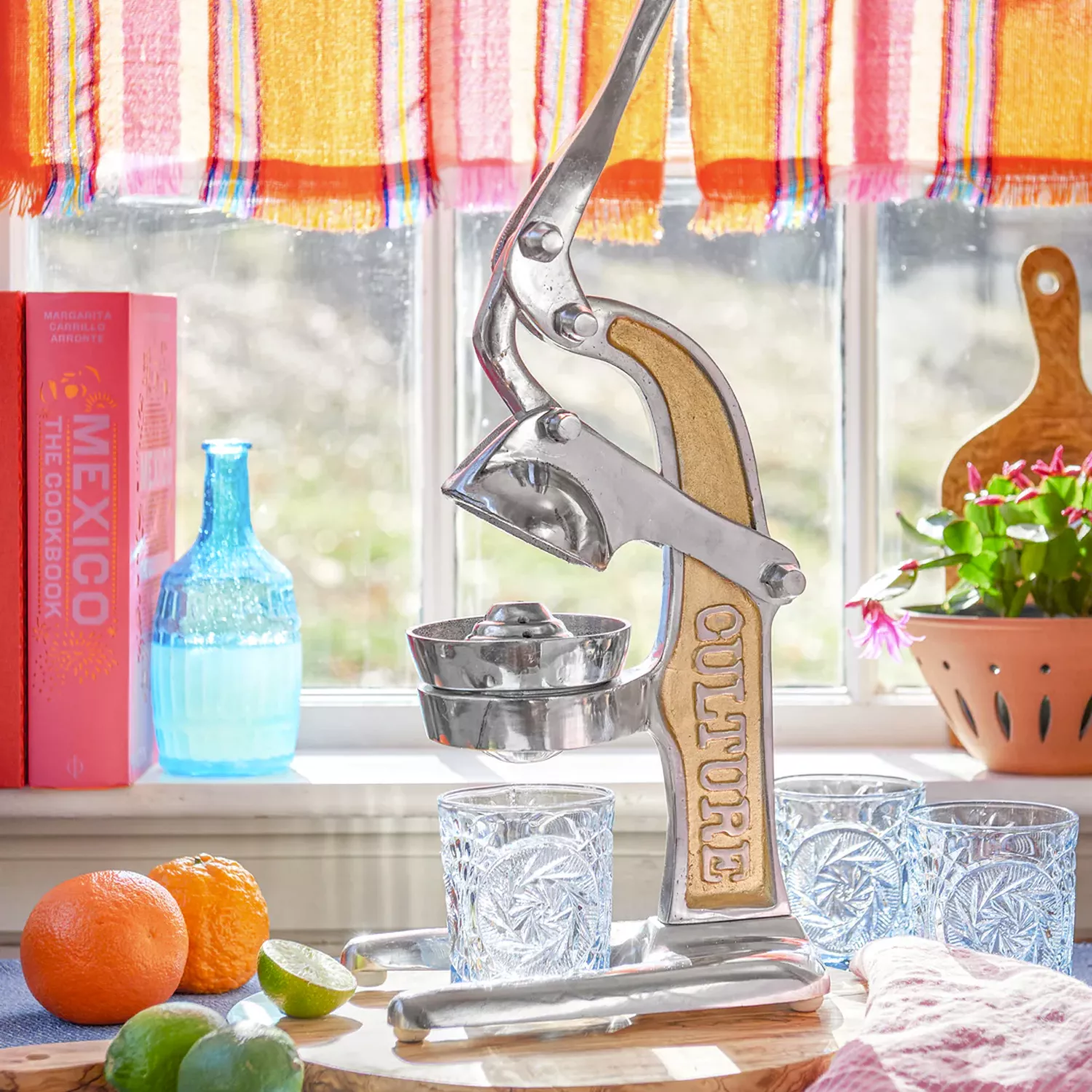 Verve Culture Artisan Citrus Juicer