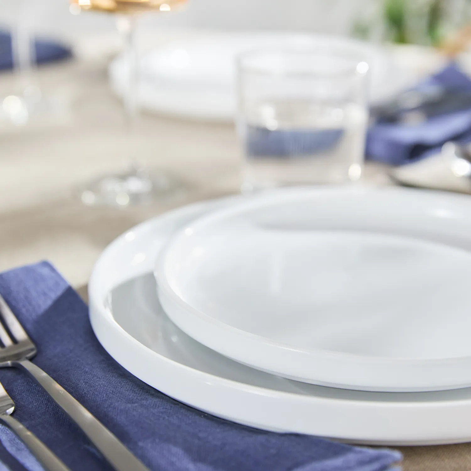 Sur La Table Coupe Dinner Plate
